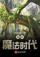 我的魔法时代封面