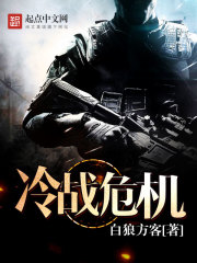 冷战危机封面