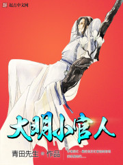 大明小官人封面