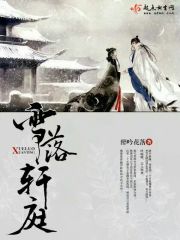 雪落轩庭封面