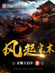 风起宋末封面