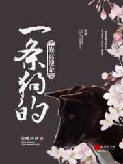 一条狗的修真使命封面