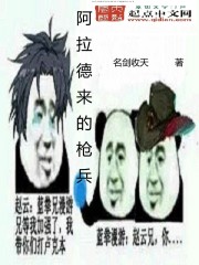 某路过异界的圣武枪魂封面
