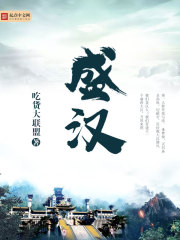 盛汉封面
