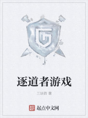 逐道者游戏封面