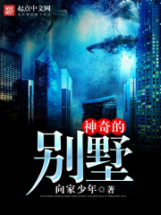 神奇的别墅封面
