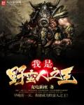 我是野蛮人之王封面