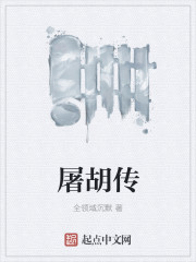江山狼烟封面