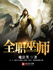 全职巫师封面