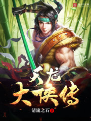 天龙大侠传封面