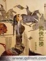 武侠红楼封面