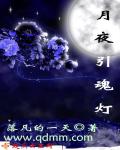 月夜引魂灯封面