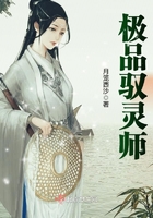 极品驭灵师封面