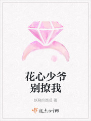 花心少爷别撩我封面