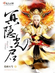 冥隐光启封面