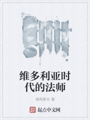 维多利亚时代的法师封面