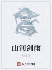 山河剑雨封面