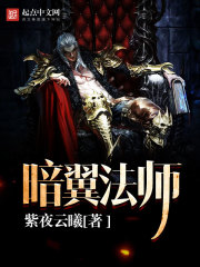 暗翼法师封面