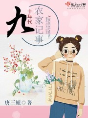 九十年代农家记事封面
