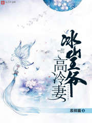 冰山王爷高冷妻封面