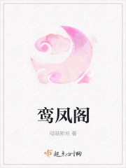 鸾凤阁封面