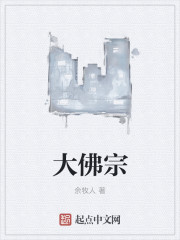 大佛宗封面