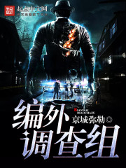 编外调查组封面