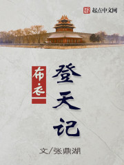 布衣登天记封面