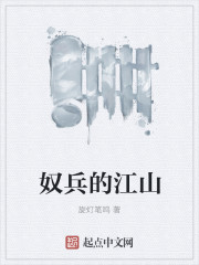 奴兵的江山封面