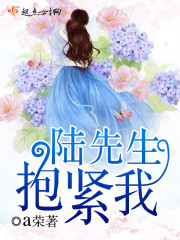陆先生，抱紧我封面