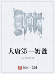 大唐第一奶爸封面