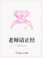 老师请正经封面