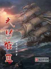 大明官匪封面