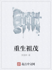 重生祖茂封面