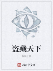 盗藏天下封面