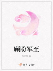 顾盼军至封面