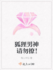 狐狸男神请勿撩！封面