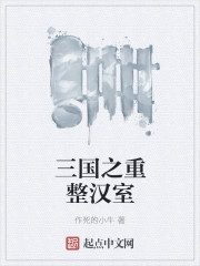三国之重整汉室封面