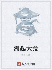 剑起大荒封面