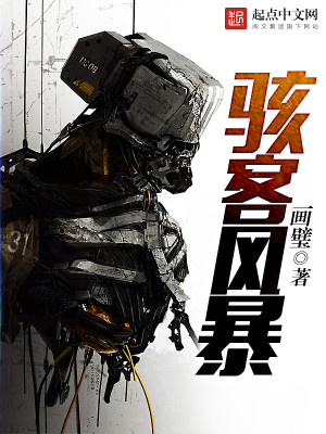 骇客风暴封面