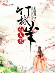 竹林山下有人家封面