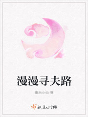 漫漫寻你封面