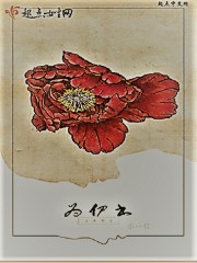为伊书封面