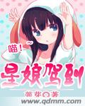 星娘驾到封面