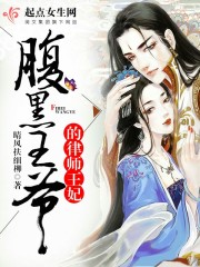 腹黑王爷的律师王妃封面