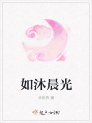 如沐晨光封面