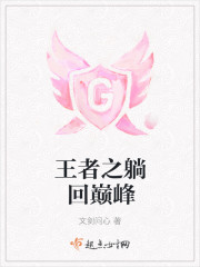 王者之躺回巅峰封面