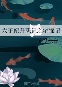 太子妃升职记之宅锦记封面