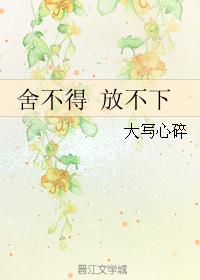 舍不得 放不下封面