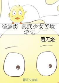 综霹雳 真武少女苦境游记封面